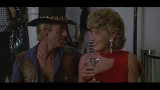 CROCODILE DUNDEE TRIBUTE  PASSION  ROD STEWART [upl. by Ycrem463]