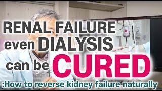 Natural treatment and diet for kidney failure [upl. by Jegar28]