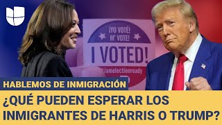 Deportaciones masivas de Trump y planes de Harris para los inmigrantes Hablemos de Inmigración [upl. by Mitchiner]