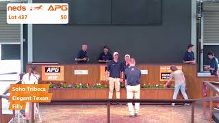 2024 Yearling Sales  Perth [upl. by Wiseman]