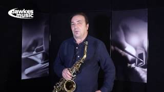 Theo Wanne NY Bros Alto Sax Mouthpiece with Greg Abate [upl. by Airlee167]