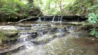 Muckle Branch Road Ethridge Tennessee [upl. by Farrish851]