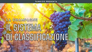 Capire la classificazione degli Champagne e imparare a leggere letichetta  Tannico Flying School [upl. by Hafinah]