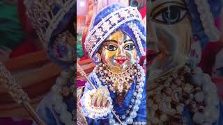 Khushi ka matlab kya hai khatu shrishyam hindudeity love shyam bhagwan [upl. by Nirra]