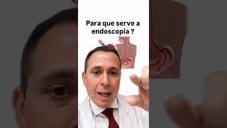 Para que serve a endoscopia [upl. by Lonergan561]