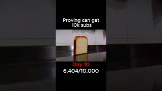 Proving bread can get 10k subs day 10 bread memes shorts [upl. by Popper632]