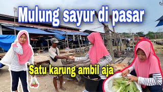 DAPAT SAYUR SATU KARUNG⁉️ AMBIL SEMUA UNTUK STOK BEBERAPA MINGGU [upl. by Syck]