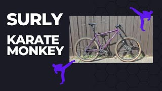 Is the Surly Karate Monkey a legit mountain bike A quick review of the Organic Eggplant Monkey [upl. by Michaeu863]