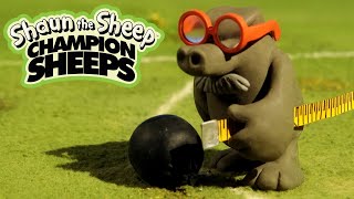 Shot Put  Championsheeps Games  Shaun the Sheep [upl. by Atnohs]