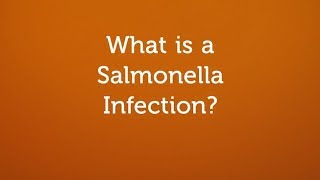 What is a Salmonella Infection Contaminated Food or Water [upl. by Lesli]