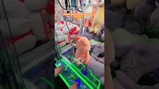 Win every time with this secret claw machine hack clawmachinetips clawmachine arcade [upl. by Htaras251]