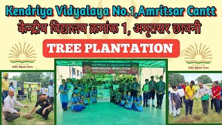 Tree Plantation In KV No1 Amritsar Cantt [upl. by Vance]