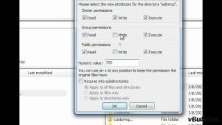 Set File Permissions Via FTP Filezilla [upl. by Wolff621]