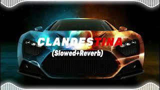 JVSTIN  CLANDESTINA TikTok Remix  SlowedReverb🎧🎧🔥 [upl. by Thorman]