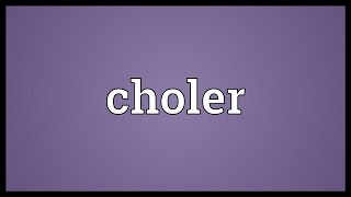 Choler Meaning [upl. by Droffats237]