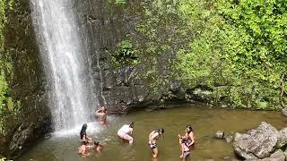 MANOA FALLS [upl. by Sibelle321]