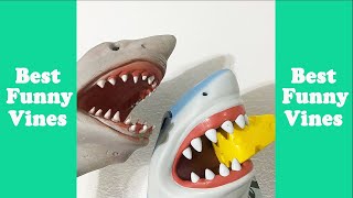 Funny Shark Puppet Funny Compilation 2020 WTitles Best Shark Puppet Vine Videos [upl. by Consuela901]