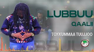 Tokkummaa Tuujjoo Lubbuu Qaalii New Ethiopian oromo music 2023official Video song [upl. by Irolam]