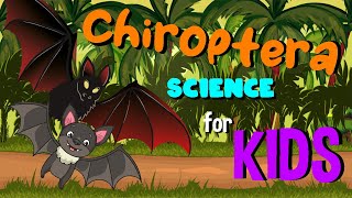 Chiroptera or Bats  Science for Kids [upl. by Ahsiet394]