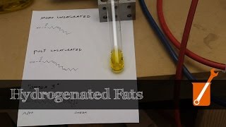 Hydrogenation transform liquid oil into solid fat [upl. by Wenoa]