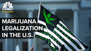 Is Marijuana Legalization Inevitable In The US [upl. by Siradal]