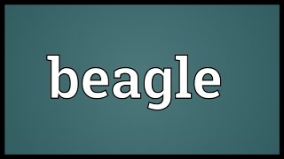 Beagle Meaning [upl. by Elmaleh]