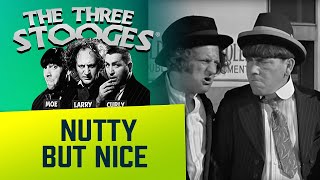 The THREE STOOGES  Ep 84  Booby Dupes [upl. by Yecac]