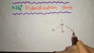 NH4 Hybridization [upl. by Tehc83]