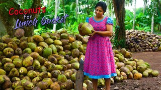 I made a huge lunch basket with coconut dishes for hungry paddy field workers  Traditional Me [upl. by Hwu]