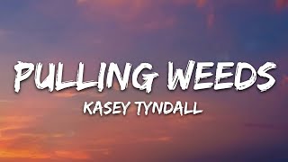 Kasey Tyndall  Pulling Weeds Lyrics [upl. by Refinnaj]