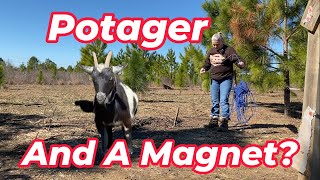 Potager and A Magnet [upl. by Evander]