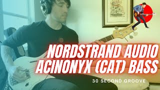 Nordstrand Audio  Acinonyx Bass Cat Bass [upl. by Michaele]