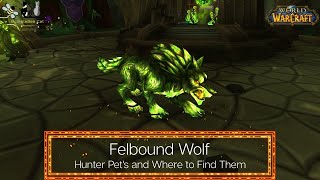 Felbound Wolf  Hunter Pets  Where to find it in World of Warcraft  ep 14 [upl. by Goar]