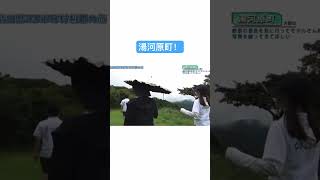 湯河原町！ポニカロード 神奈川県 神奈川広報部 YouTube 切り抜き 湯河原 湯河原町 絶景 自然 [upl. by Hughmanick]