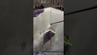 Pressure washing the paint off this Pontiac GTO hood restoration satisfying cars classiccars [upl. by Anivla]