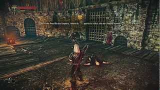 The Witcher 2 Gameplay  Tutorial HD [upl. by Kirshbaum]