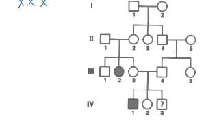 BiologieErfelijkheidxchromosomaal en stambomen [upl. by Letta]