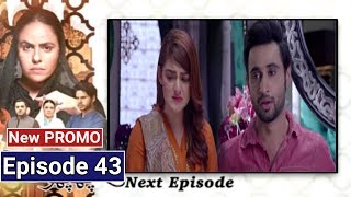 Pakeeza Phuppo  Episode 43 New Promo  Teaser   ARY Digital Drama  Pakeeza Phuppo  Episode 43 [upl. by Nitz779]