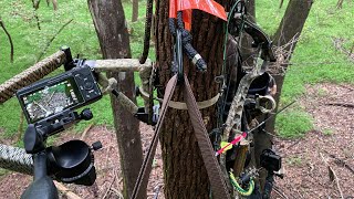 Saddle Hunting on Marylands Opening Day of the 2020 Archery Season [upl. by Davidde329]