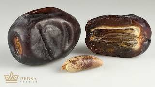 Mazafati Date is known as Bam Date in Iran or Kimia Dates in India [upl. by Chlo944]