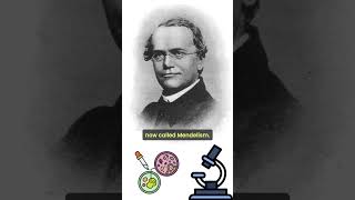 Unveiling Heredity Gregor Mendel’s Legacy genetics [upl. by Nahttam403]