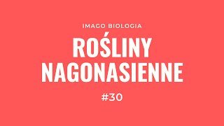 Rośliny nagonasienne [upl. by Darn]