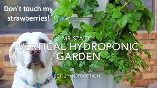 Vertical Hydroponic Garden Set Up Instructions By Mr Stacky [upl. by Eahsat]