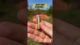 Ruger Super Blackhawk ASMR…🎯 shorts youtubeshorts youtubevideos [upl. by Atisor]