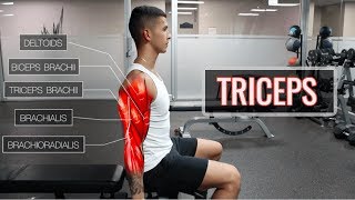 The Best ScienceBased Tricep Workout  ARMS Part 22 [upl. by Olegnaleahcim]