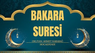 Bakara Suresi  65 dakika  Hızlı [upl. by Suirad]