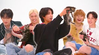 Stray Kids The Kitten Interview [upl. by Oilenroc]