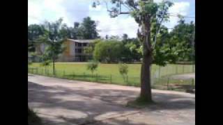 DSSENANAYAKE COLLEGE COLOMBO 07 [upl. by Fabrin]