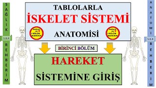 1İskelet Sistemi Anatomisi Hareket Sistemine Giriş  Kemiklerin Yapısal Özellikleri Osteon nedir [upl. by Foster]