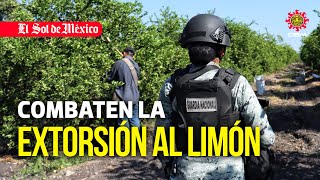 Combaten la extorsión al limón [upl. by Goetz206]